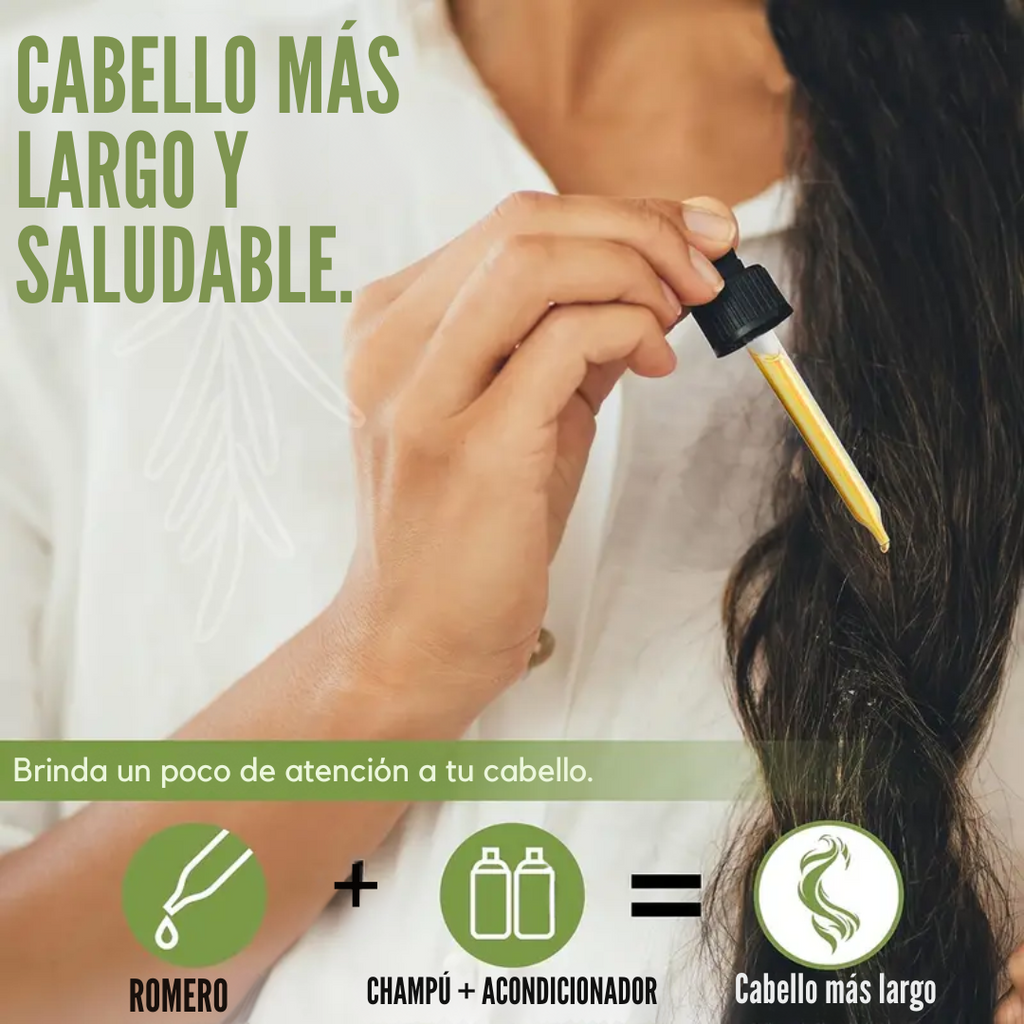 Modo de uso del aceite esencial de romero para el cabello